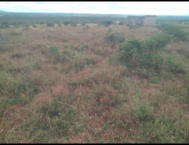 LAND FOR SALE IN MANKWENG